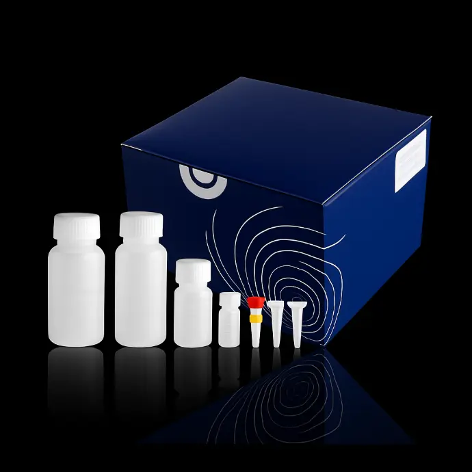7ml desmin bond lip primary